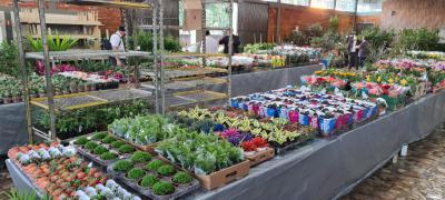 ComeÃ§a hoje quarta-feira (07/07) o Rotary vende mudas em Laranjeiras do Sul